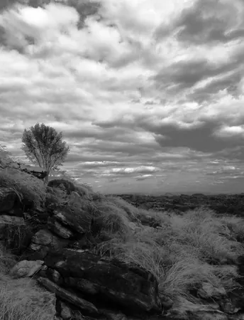 Darwin – Urban - photo 22