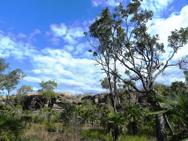Darwin – Urban - photo 24