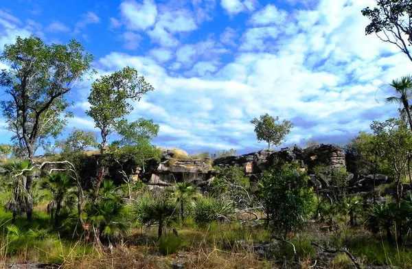 Darwin – Urban - photo 25