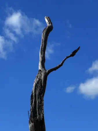 Darwin – Urban - photo 26