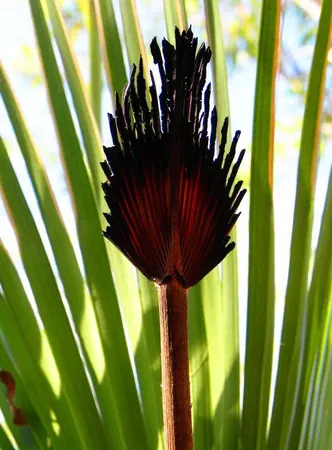 Kakadu National Park – Trip 4