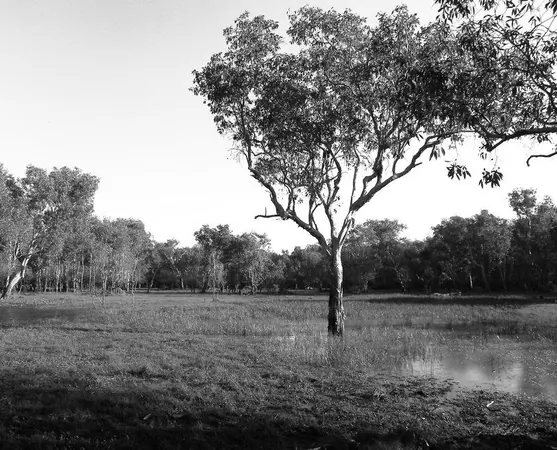 Darwin Adventure - photo 4