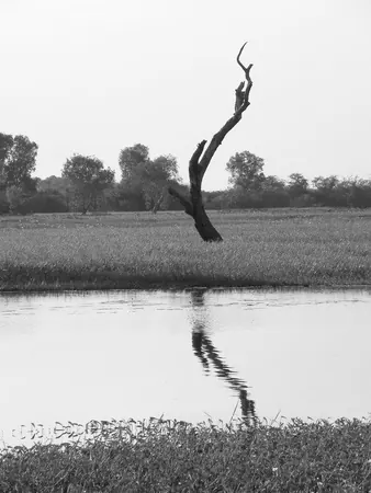 Darwin Adventure - photo 8