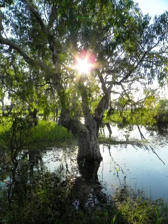Darwin Adventure - photo 9