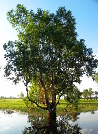 Darwin Adventure - photo 11