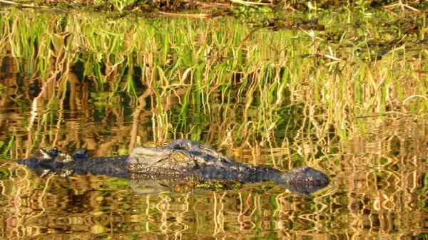 Darwin Adventure - photo 17