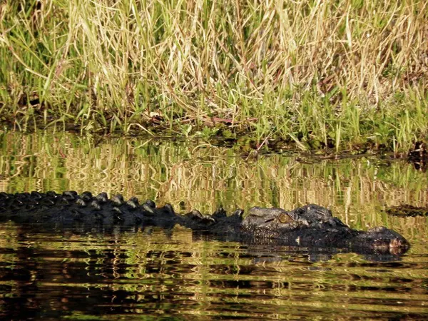 Darwin Adventure - photo 19