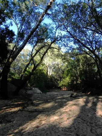Darwin – Part IV - photo 2