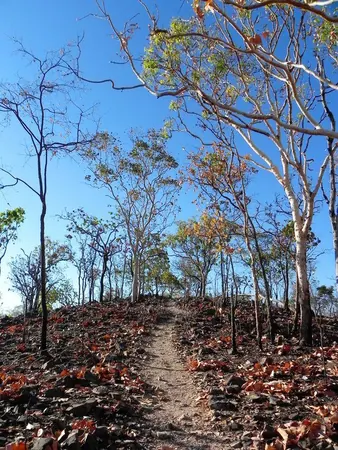 Darwin – Part IV - photo 5