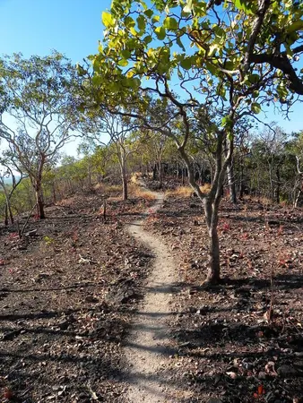 Darwin – Part IV - photo 7