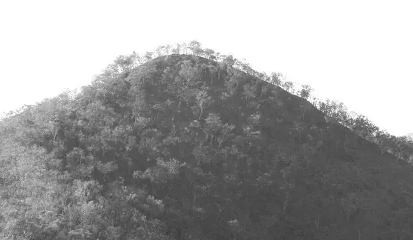 Darwin – Part IV - photo 9