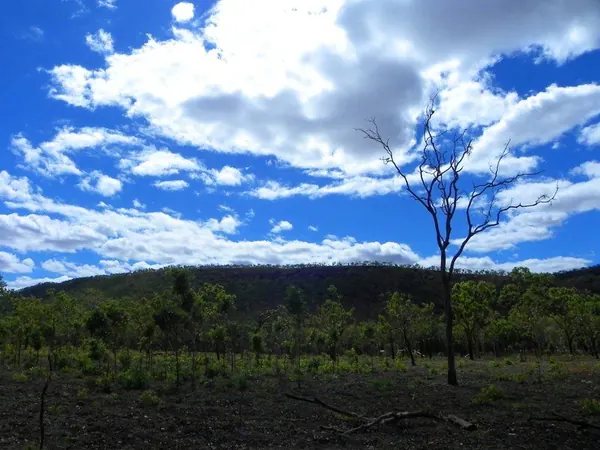 Darwin – Part IV - photo 15