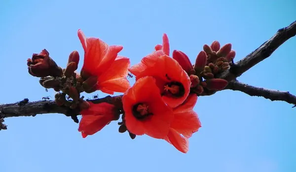 Darwin – Part IV - photo 22