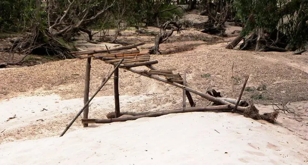 Darwin – Part IV - photo 25