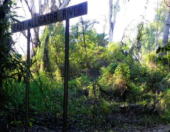 Darwin – Part III - photo 9