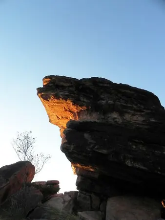Darwin – Part III - photo 15