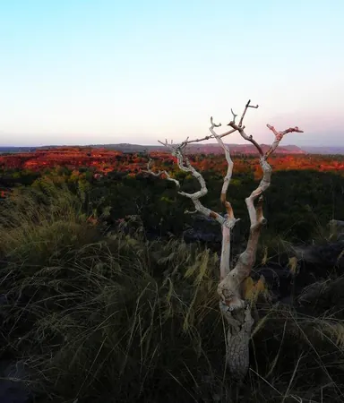 Darwin – Part III - photo 17