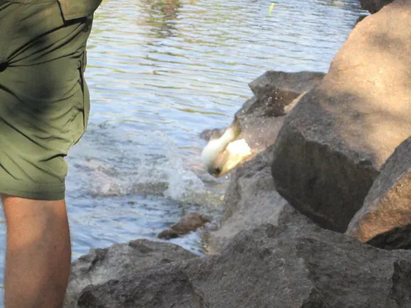 Berry Springs Nature Park & Palmerston - photo 5
