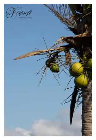 Kenting – South Taiwan - photo 6