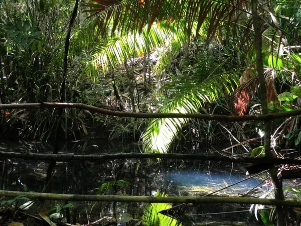 Hot Waterfalls & Springs Trip - photo 6