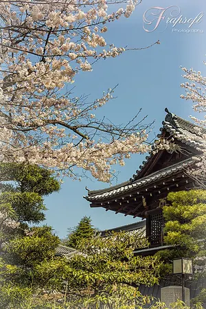 Japan Kyōto – Part IV - photo 3