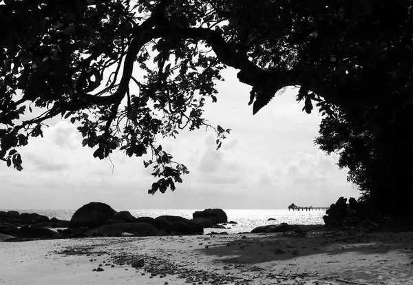 Langkawi – Malaysia – Part I - photo 10
