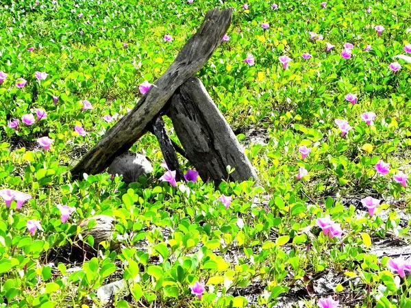 Langkawi – Malaysia – Part II - photo 10