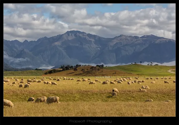 Bike Trip to Lake Manapouri – Part I - photo 3