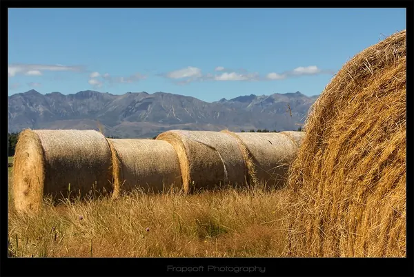 Bike Trip to Lake Manapouri – Part II