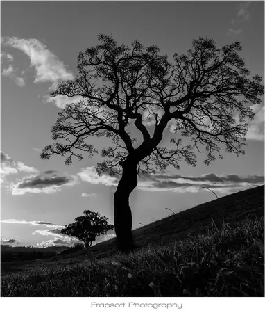 Bonnie in Black and White – Part II - photo 3