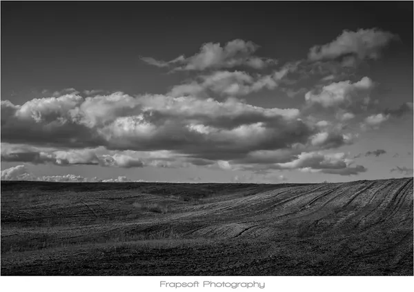 Bonnie in Black and White – Part II - photo 4