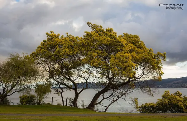 Lake Taupo