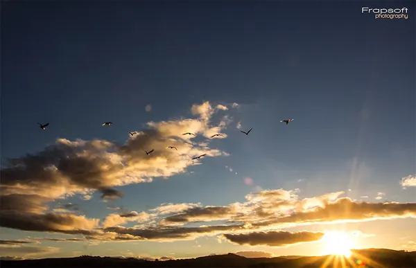 Lake Taupo - photo 4