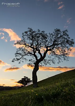 Taupo - photo 2