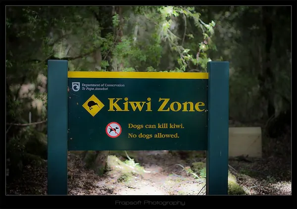 Bike Trip and Hiking Around Lake La Te Anau – Part I - photo 4