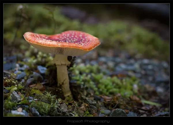 Bike Trip and Hiking Around Lake La Te Anau – Part II - photo 2