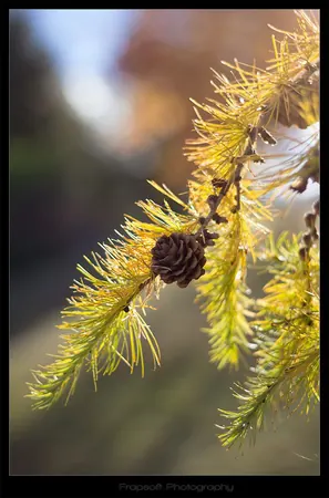 Lake Tekapo – Part I - photo 2