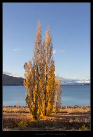 LAKE TEKAPO V.11 - photo 3