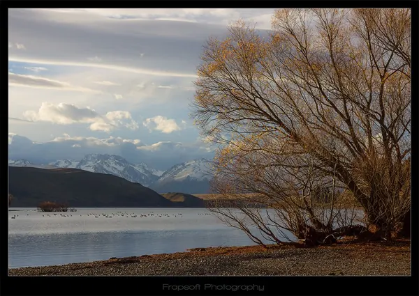 LAKE TEKAPO V.12 - photo 2