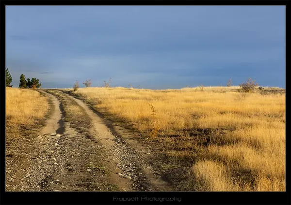 LAKE TEKAPO V.15 - photo 2
