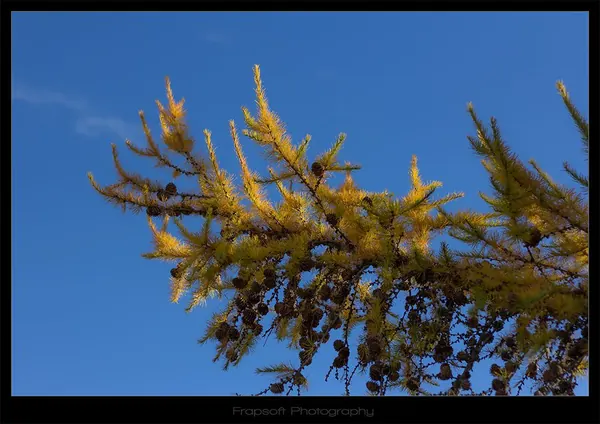 Lake Tekapo – Part III - photo 2
