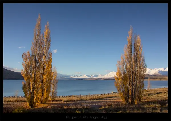 Lake Tekapo – Part III - photo 4