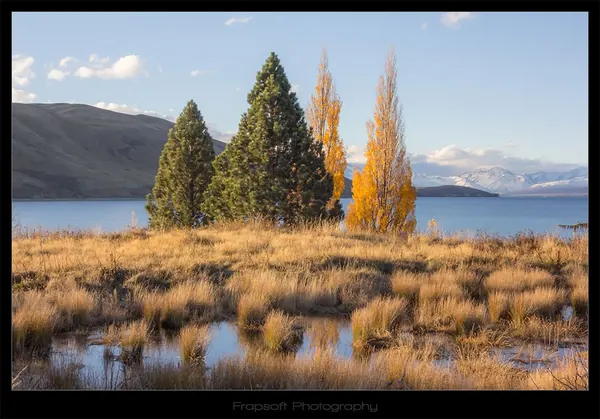 LAKE TEKAPO V.5 - photo 2