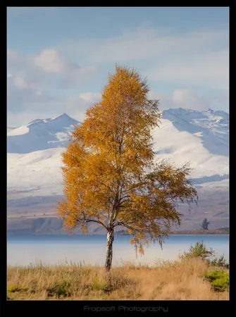 LAKE TEKAPO V.6