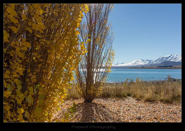 LAKE TEKAPO V.7 - photo 3