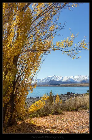 LAKE TEKAPO V.8