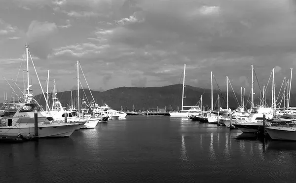 Last Day in Cairns - photo 19