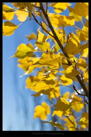 Last Days in Lake Tekapo – Part II - photo 2