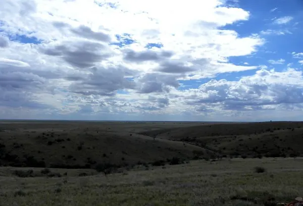 Freaks in the Outback