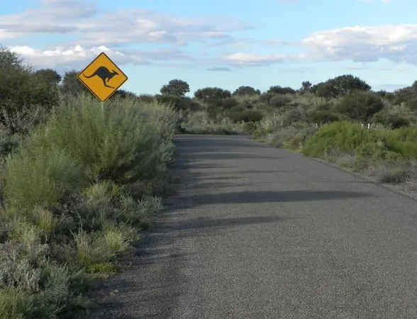 Freaks in the Outback - photo 2